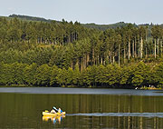 canoeing at Lac des Sapins